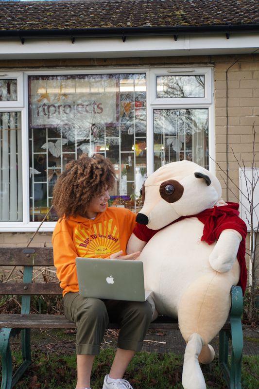 A person sitting on a bench sharing their laptop with a giant meerkat