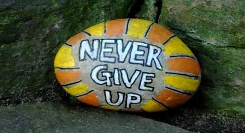 A stone with the words never give up painted on it